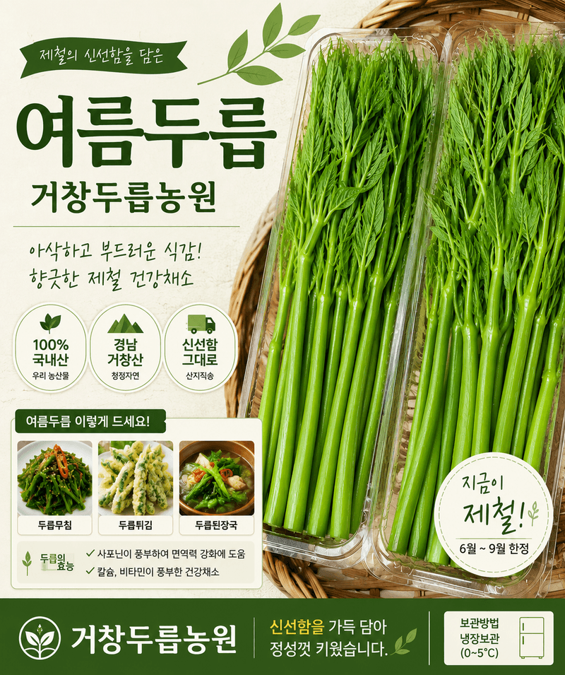 거창두릅농원김성희님의 장터 판매 상품 [여름두릅1kg] 첨부 사진