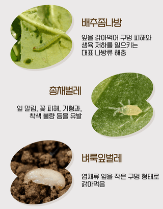 농업마켓365님의 작성글 사진