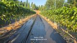 팜모닝 자유주제·자유게시판 게시글 이미지