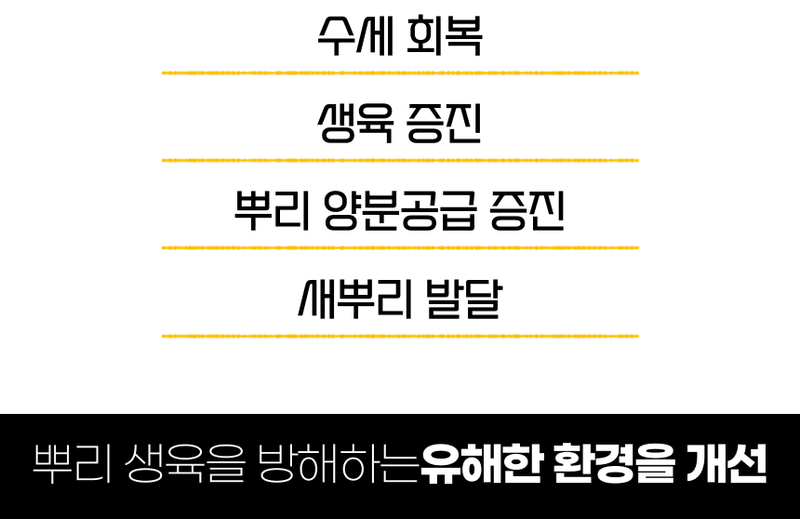 농업마켓365님의 장터 판매 상품 [선충다이 액제 1L 티사포닌 함유 선충피해예방 뿌리혹예방 식물영양제 비료] 첨부 사진