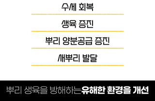 농업마켓365님의 작성글 사진