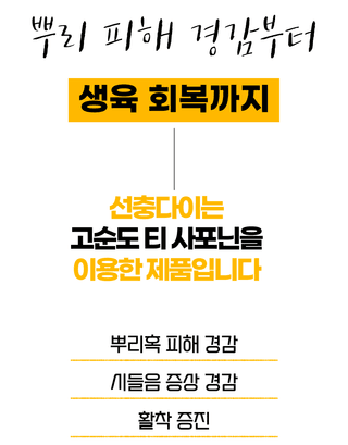농업마켓365님의 작성글 사진