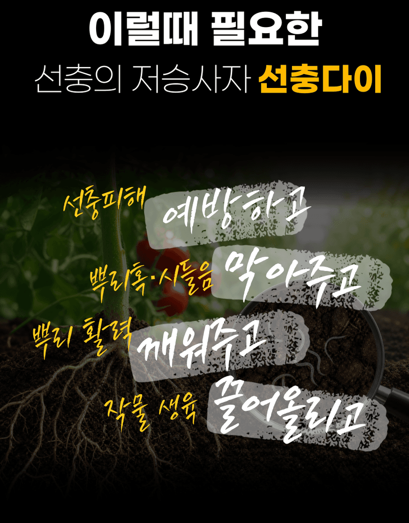 농업마켓365님의 장터 판매 상품 [선충다이 액제 1L 티사포닌 함유 선충피해예방 뿌리혹예방 식물영양제 비료] 첨부 사진