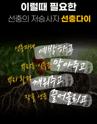 농업마켓365님의 작성글 사진