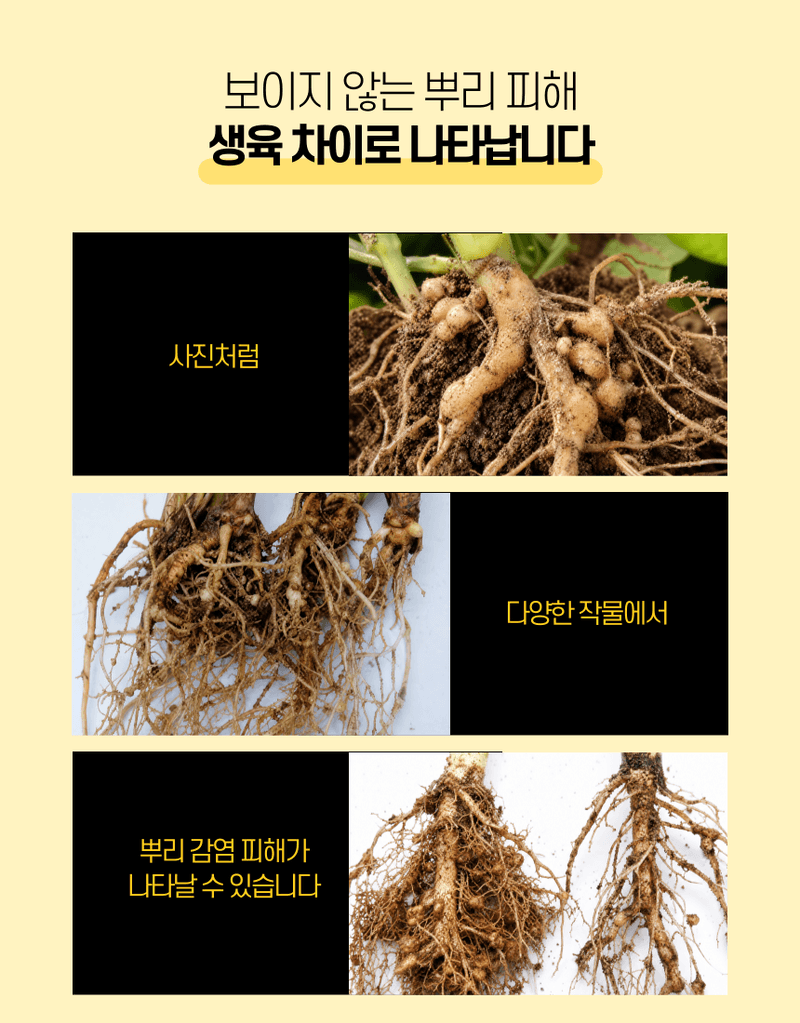농업마켓365님의 장터 판매 상품 [선충다이 액제 1L 티사포닌 함유 선충피해예방 뿌리혹예방 식물영양제 비료] 첨부 사진