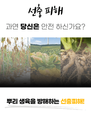 농업마켓365님의 작성글 사진