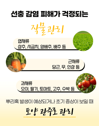 농업마켓365님의 작성글 사진