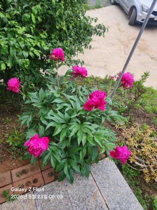추녹이님의 자유주제 · 자유게시판 작성글 사진