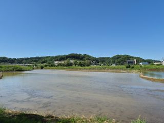 Kns4324님의 자유주제 · 자유게시판 작성글 사진