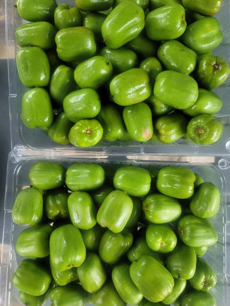 손수경님의 장터 판매 상품 [달고 맛좋은 토종다래 묘목(2년생)] 첨부 사진