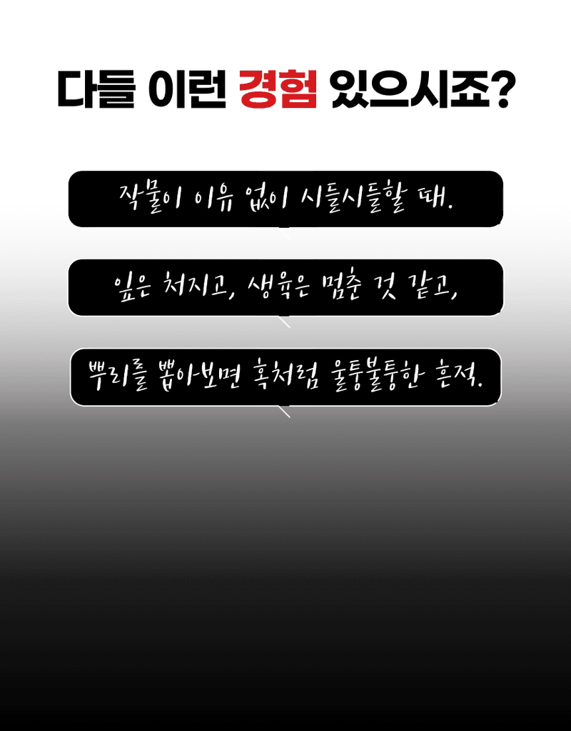 농업마켓365님의 장터 판매 상품 [선충다이 액제 1L 티사포닌 함유 선충피해예방 뿌리혹예방 식물영양제 비료] 첨부 사진
