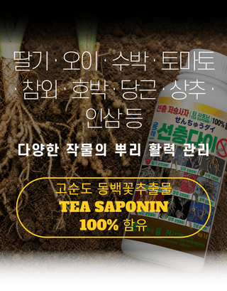 농업마켓365님의 작성글 사진