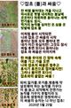 홈 갤러리 이미지