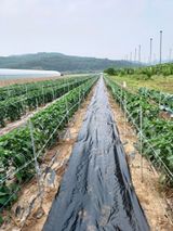 이창우님의 자유주제·자유게시판 작성글 사진