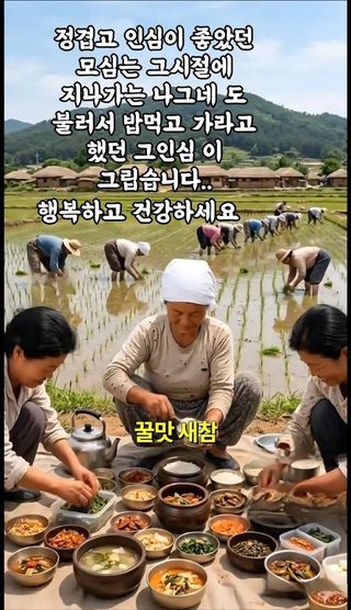 MSG0074님의 자유주제 · 자유게시판 작성글 사진