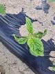 홈 갤러리 이미지