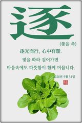 팜모닝 자유주제·자유게시판 게시글 이미지