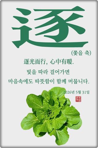 정진해님의 자유주제 · 자유게시판 작성글 사진