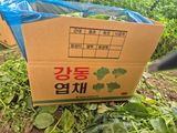 준영농장 출석왕.님의 자유주제·자유게시판 작성글 사진