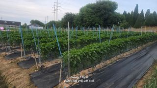 차상만님의 자유주제 · 자유게시판 작성글 사진
