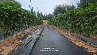 차상만님의 자유주제 · 자유게시판 작성글 사진