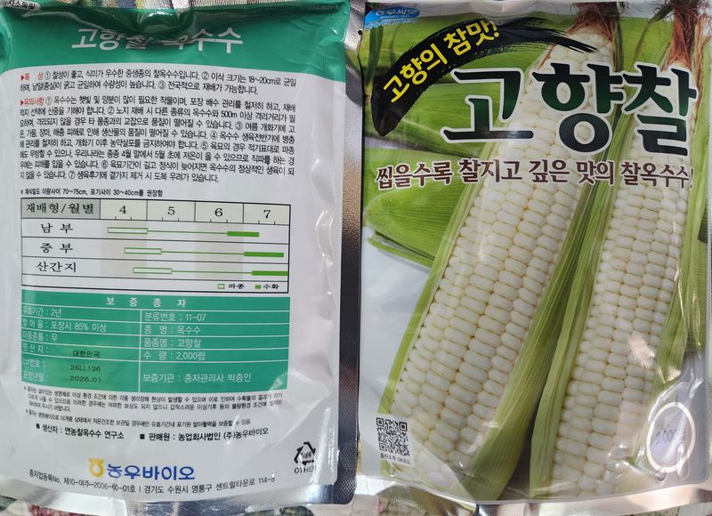 안산제일농약사님의 장터 판매 상품 [고향찰옥수수씨앗 2000립 남은수량3봉] 첨부 사진