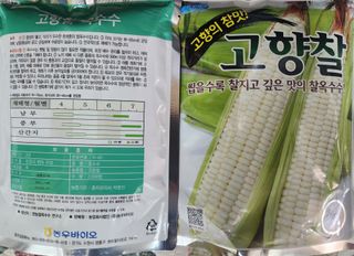 안산제일농약사님의 작성글 사진