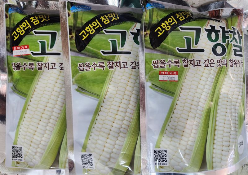 장터 상품 [고향찰옥수수씨앗 2000립 남은수량3봉] 썸네일
