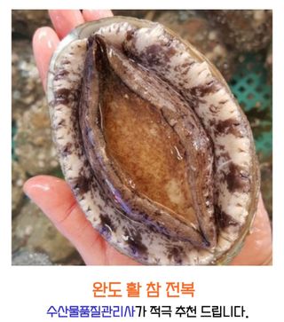 농수사님의 작성글 사진