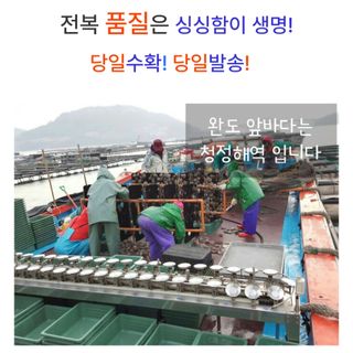 농수사님의 작성글 사진