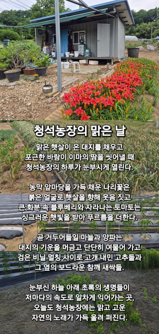 Kns4324님의 자유주제 · 자유게시판 작성글 사진