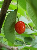 하나라도 소중하게님의 자유주제·자유게시판 작성글 사진