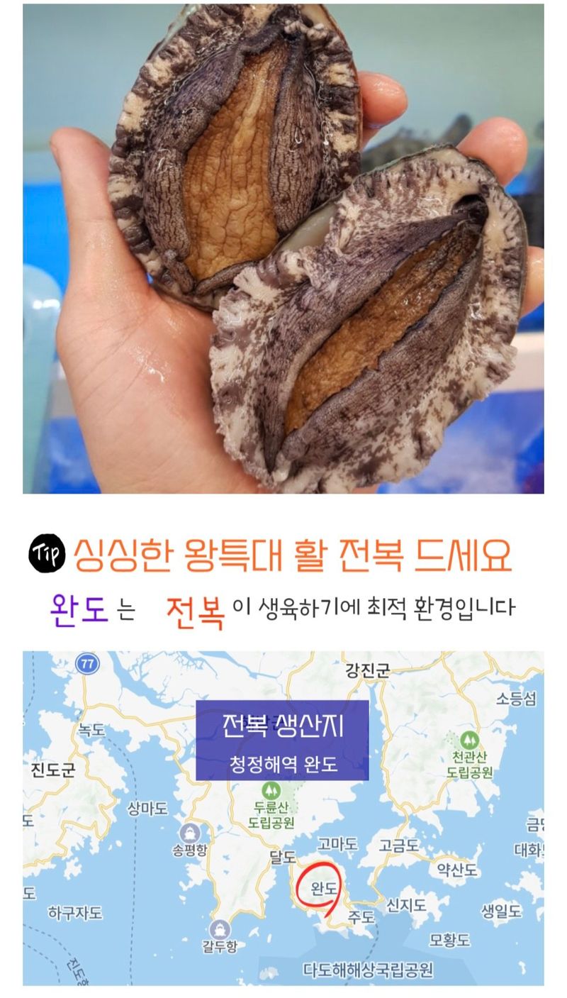 농수사님의 장터 판매 상품 [수산물품질관리사 직영 완도 활전복 왕특대 1kg] 첨부 사진