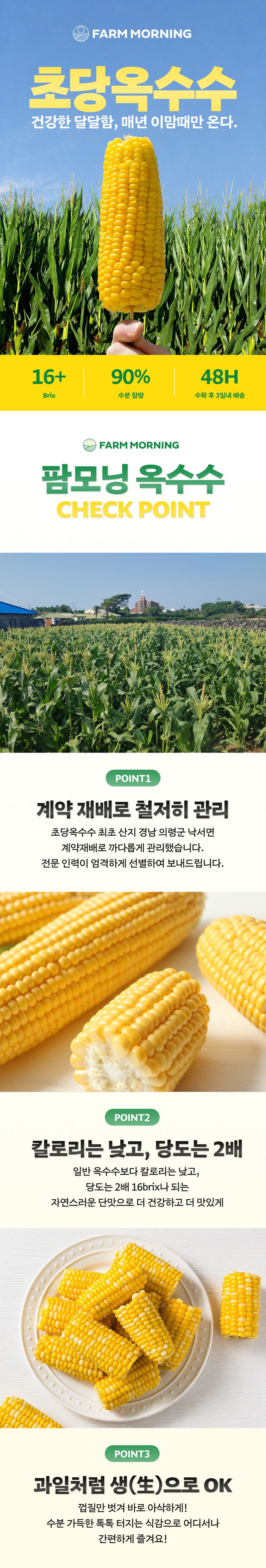 팜모닝 산지직송님의 장터 판매 상품 [2026수확 의령 산지직송 초당옥수수 중품 5개] 첨부 사진