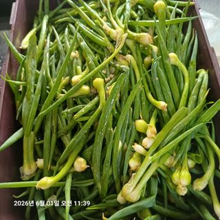삼성농산님의 자유주제 · 자유게시판 작성글 사진