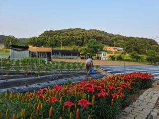 Kns4324님의 자유주제 · 자유게시판 작성글 사진