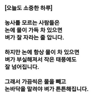 (팽나무*공주)님의 자유주제 · 자유게시판 작성글 사진
