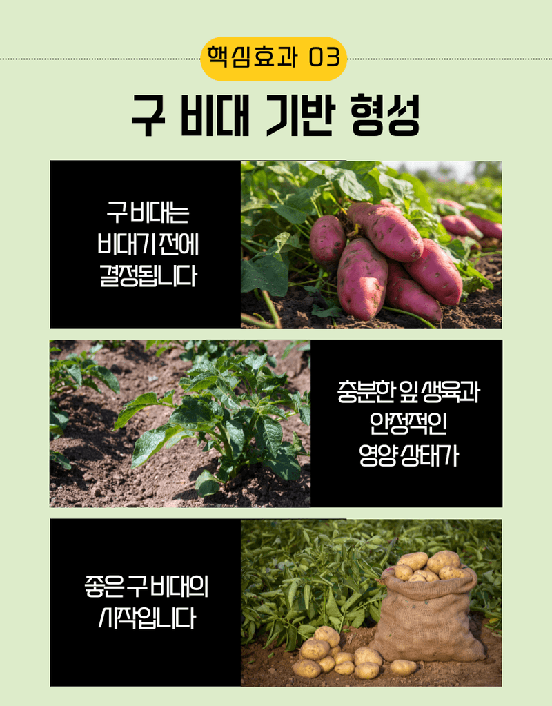 농업마켓365님의 장터 판매 상품 [멀티피드 부스터 2KG 20-20-20 엽면시비 전용비료 복합비료 식물영양제] 첨부 사진