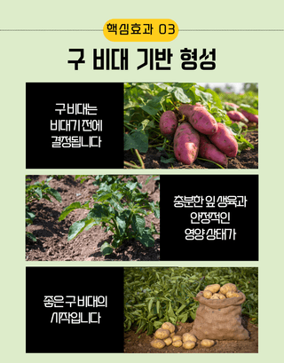 농업마켓365님의 작성글 사진