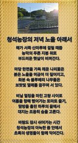 Kns4324님의 자유주제·자유게시판 작성글 사진