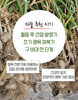 농업마켓365님의 작성글 사진