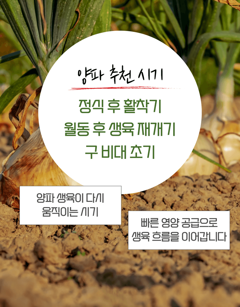 농업마켓365님의 장터 판매 상품 [멀티피드 부스터 2KG 20-20-20 엽면시비 전용비료 복합비료 식물영양제] 첨부 사진