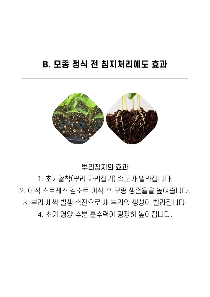 파머스케어님의 장터 판매 상품 [뿌리발근제4L 수목 농사용 뿌리 활착 관주비료 비닐하우스 비료] 첨부 사진
