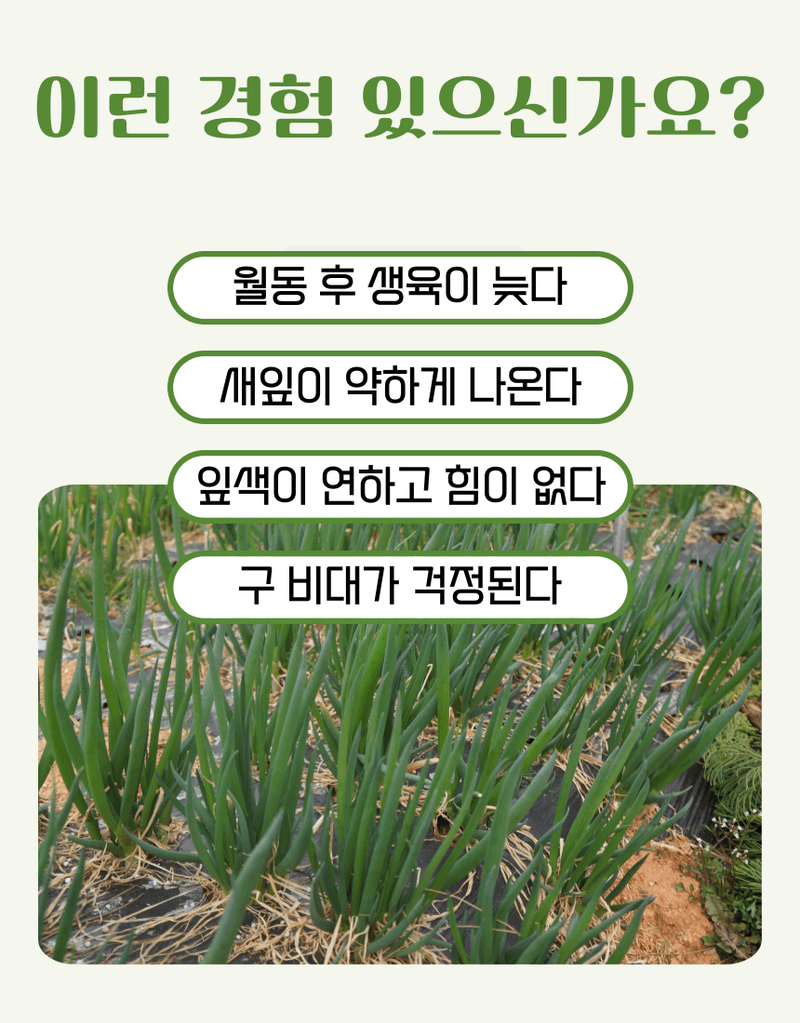 농업마켓365님의 장터 판매 상품 [멀티피드 부스터 2KG 20-20-20 엽면시비 전용비료 복합비료 식물영양제] 첨부 사진