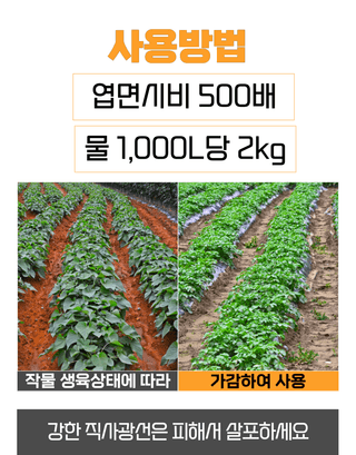 농업마켓365님의 작성글 사진