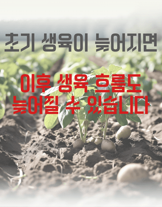 농업마켓365님의 작성글 사진