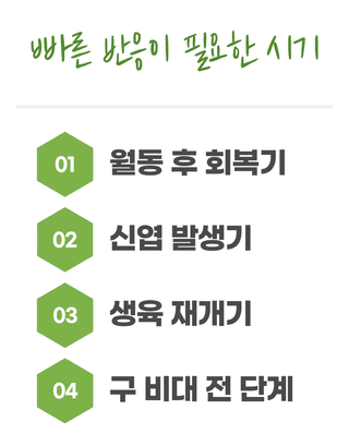 농업마켓365님의 작성글 사진