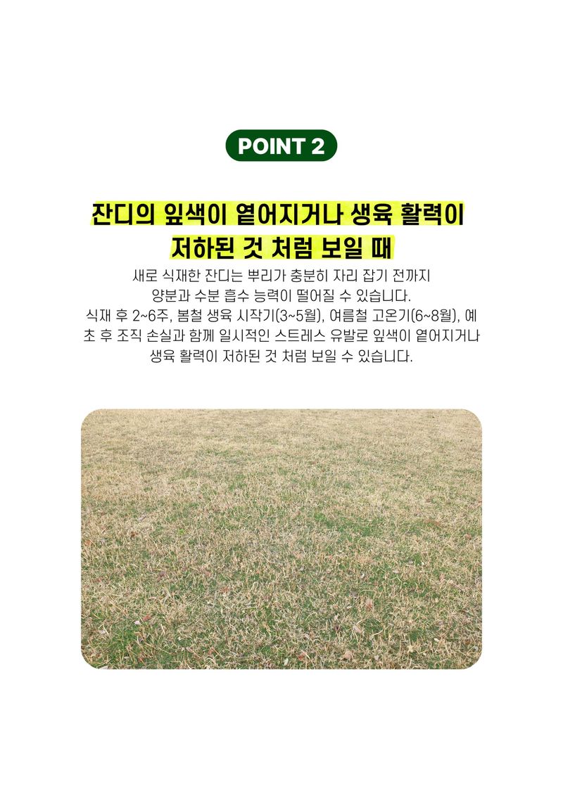 파머스케어님의 장터 판매 상품 [잔디영양제500ml 한국잔디 공공기관 잔디밭 잔디관리제 아미노산 미량요소 비료] 첨부 사진