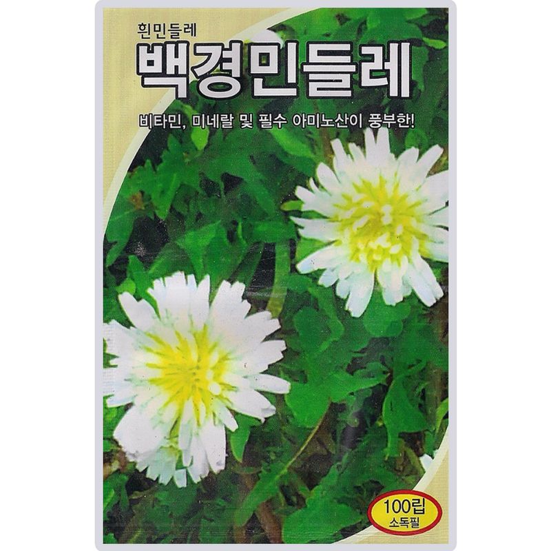 장터 상품 [백경 민들레 씨앗 100립 비타민 미네랄 필수 아미노산 풍부한 흰민들레씨 종자] 썸네일