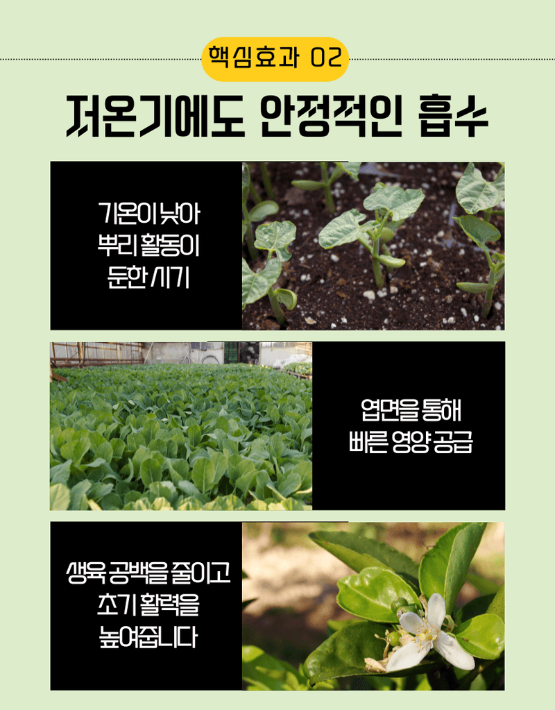 농업마켓365님의 장터 판매 상품 [멀티피드 부스터 2KG 20-20-20 엽면시비 전용비료 복합비료 식물영양제] 첨부 사진